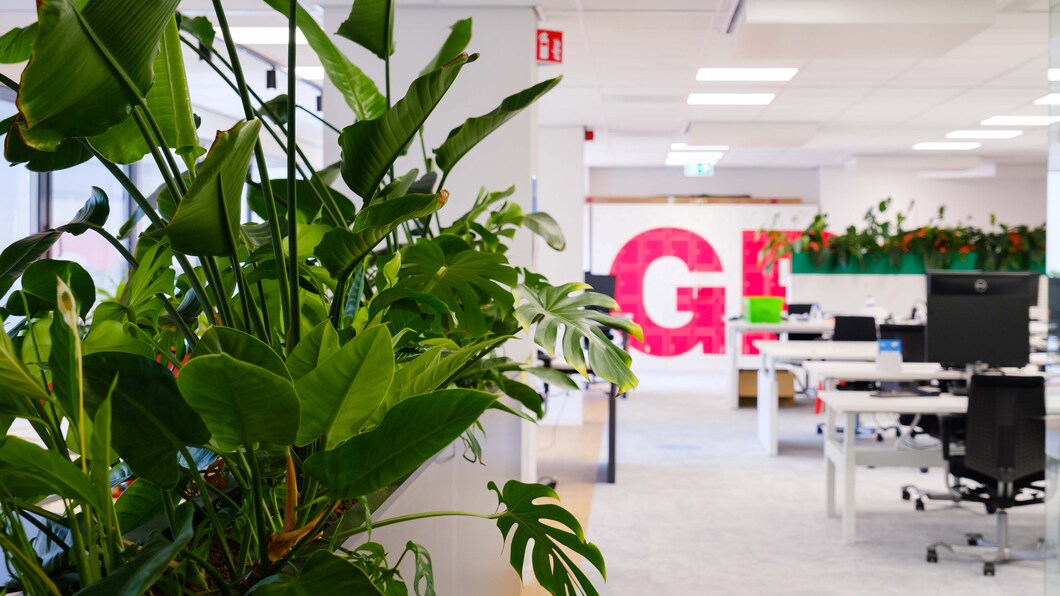 Foto van het landelijk bureau met veel planten links, bureaus rechts en het logo van GroenLinks op de achterwand.