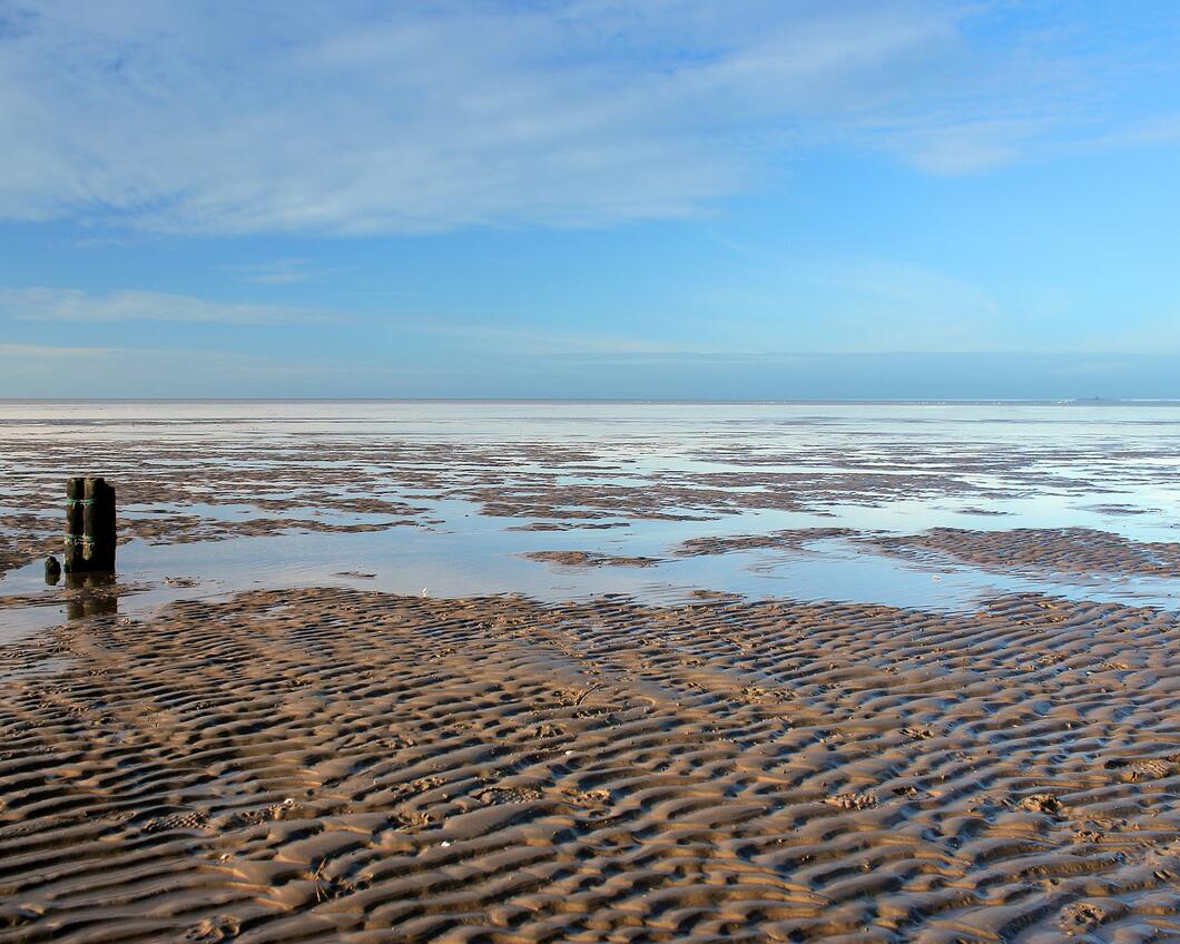 Stop boringen Waddenzee. Beeld: Pixabay. 