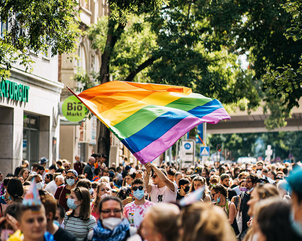 Regenboog vlag