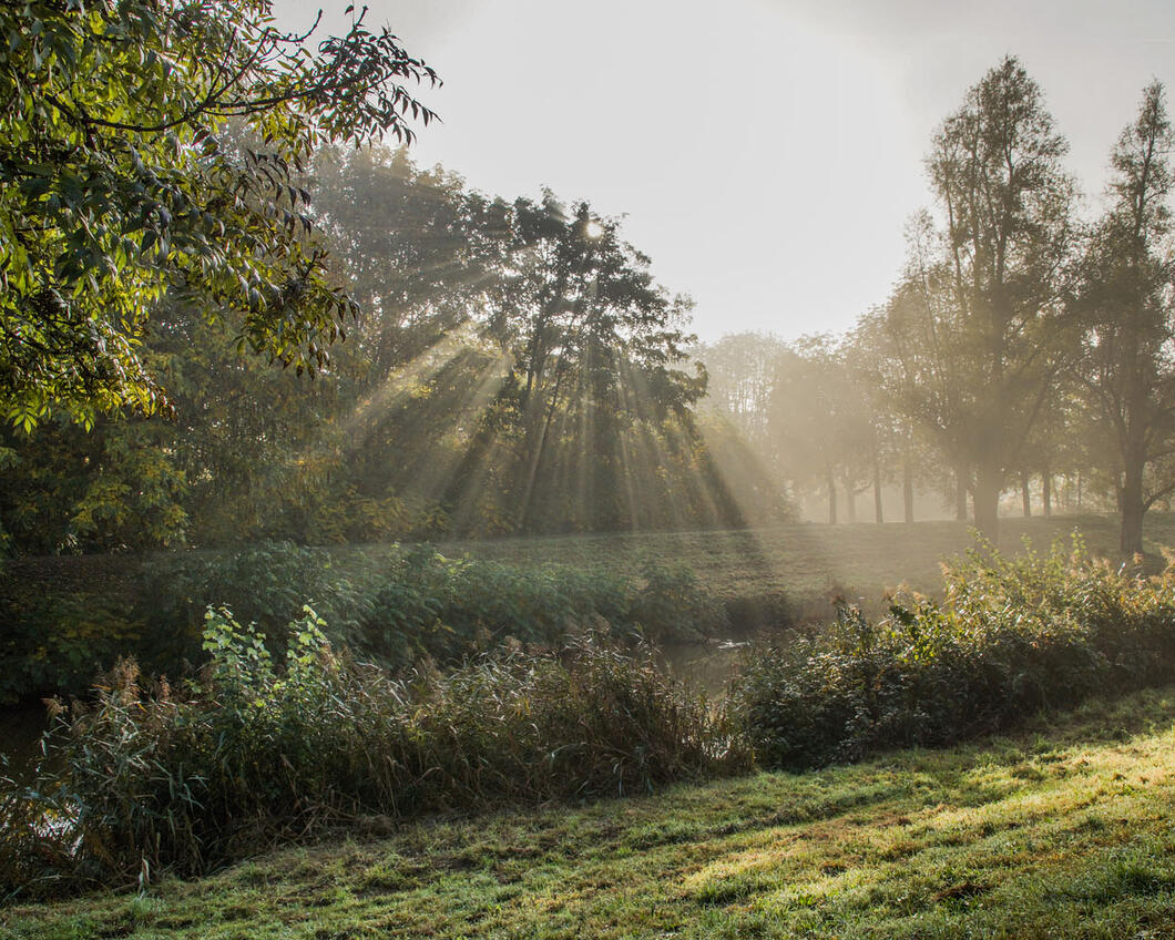 B1 Natuur.jpg